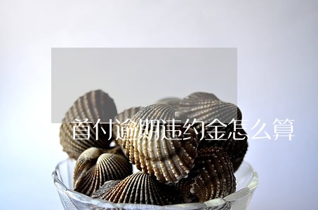 首付逾期违约金怎么算 首付逾期违约金怎么算