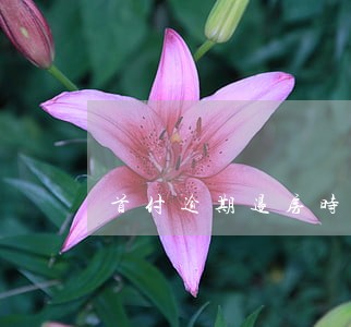 首付逾期退房时间 首付逾期退房时间