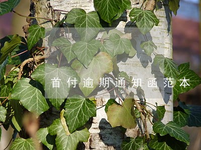 首付逾期通知函范本