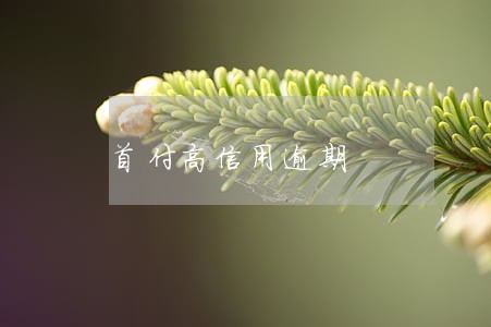 首付高信用逾期 首付高信用逾期