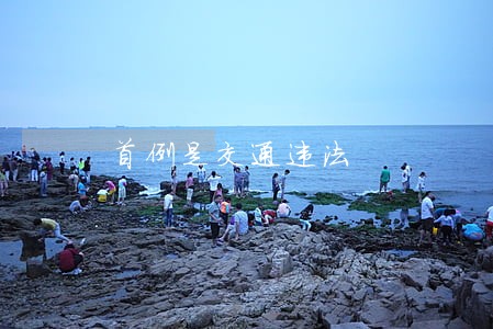 首例是交通违法 首例是交通违法
