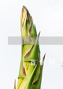 首例网上司法拍卖圆满成功 首例网上司法拍卖圆满成功