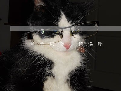 首套房贷征信逾期 首套房贷征信逾期