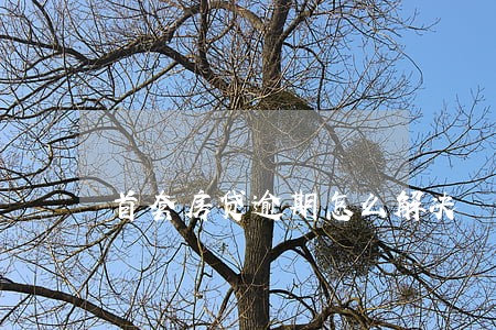 首套房贷逾期怎么解决 首套房贷逾期怎么解决