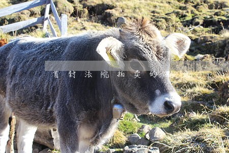 首封法院拍卖的规定 首封法院拍卖的规定