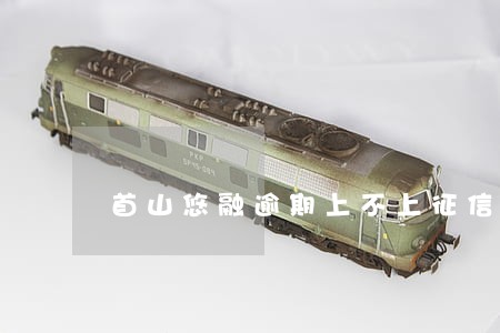 首山悠融逾期上不上征信 首山悠融逾期上不上征信