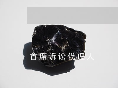 首席诉讼代理人 首席诉讼代理人