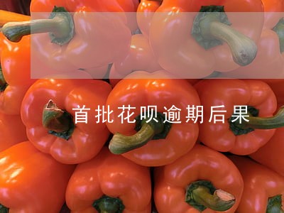首批花呗逾期后果 首批花呗逾期后果
