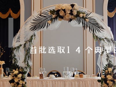 首批选取14个典型违纪违法案件