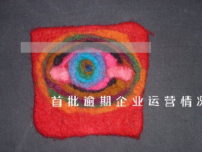 首批逾期企业运营情况 首批逾期企业运营情况