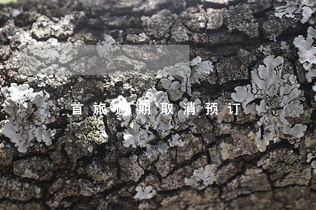 首旅逾期取消预订 首旅逾期取消预订