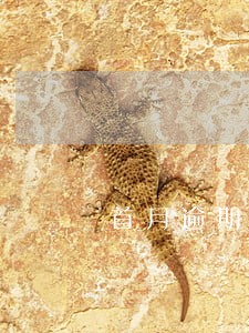 首月逾期和催款 首月逾期和催款