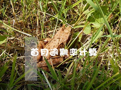 首月逾期率计算 首月逾期率计算
