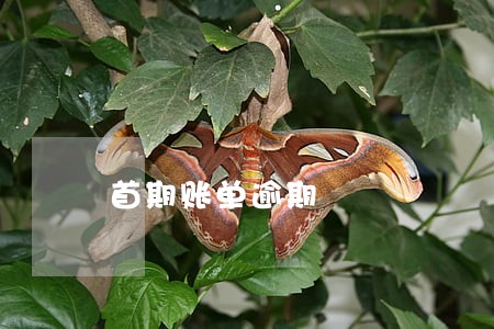 首期账单逾期 首期账单逾期