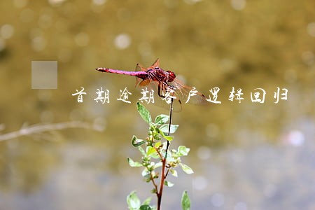 首期逾期客户逻辑回归 首期逾期客户逻辑回归