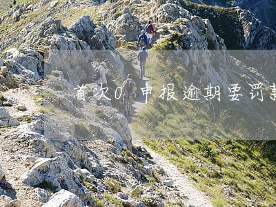 首次0申报逾期要罚款吗 首次0申报逾期要罚款吗