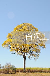 首次上门催收须在贷款逾期 首次上门催收须在贷款逾期