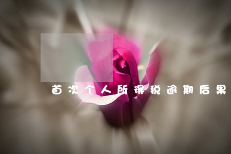首次个人所得税逾期后果 首次个人所得税逾期后果
