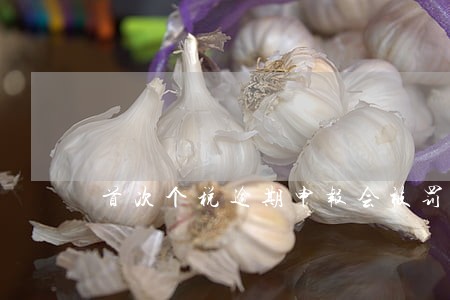 首次个税逾期申报会被罚款吗 首次个税逾期申报会被罚款吗