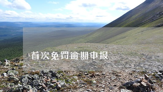 首次免罚逾期申报 首次免罚逾期申报
