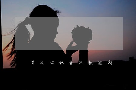 首次公积金还款逾期 首次公积金还款逾期