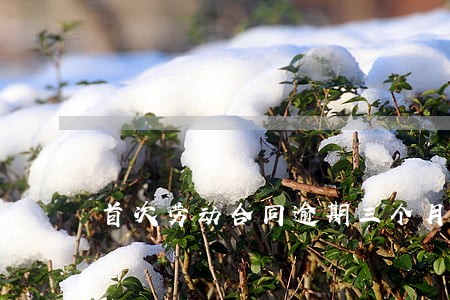 首次劳动合同逾期三个月 首次劳动合同逾期三个月