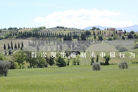 首次发生逾期未申报行为 首次发生逾期未申报行为