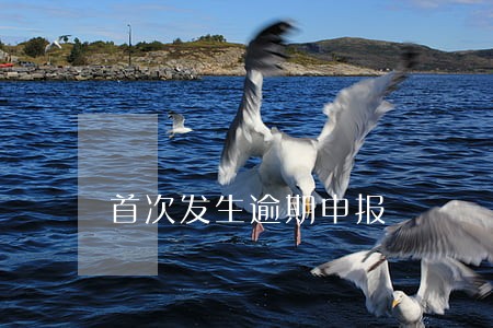 首次发生逾期申报 首次发生逾期申报