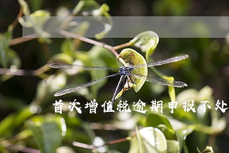 首次增值税逾期申报不处罚 首次增值税逾期申报不处罚