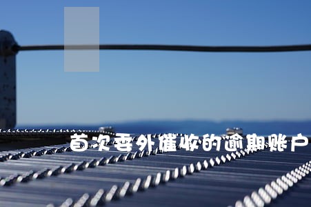 首次委外催收的逾期账户 首次委外催收的逾期账户