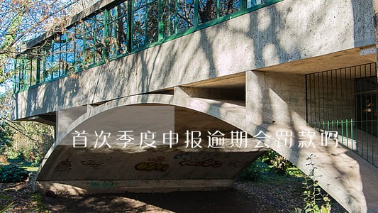 首次季度申报逾期会罚款吗 首次季度申报逾期会罚款吗