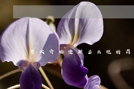 首次开始逾期后出现的罚息 首次开始逾期后出现的罚息