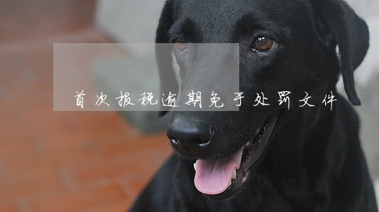 首次报税逾期免于处罚文件