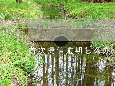 首次捷信逾期怎么办 首次捷信逾期怎么办