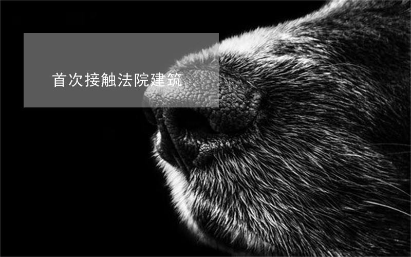 首次接触法院建筑 首次接触法院建筑