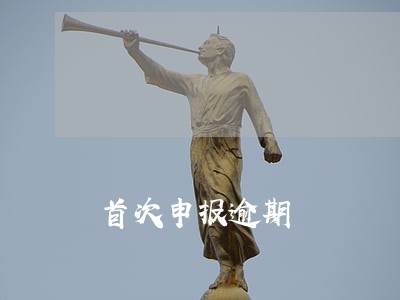 首次申报逾期