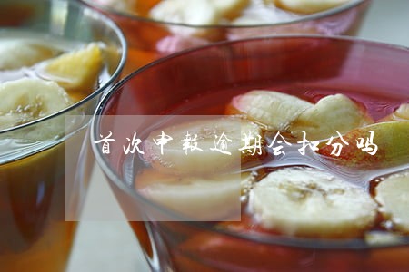 首次申报逾期会扣分吗 首次申报逾期会扣分吗