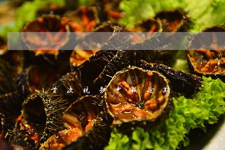 首次税务申报逾期 首次税务申报逾期