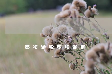 首次纳税申报逾期