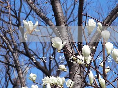 首次车贷逾期两天会有什么结果 首次车贷逾期两天会有什么结果