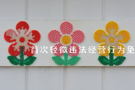 首次轻微违法经营行为免罚清单 首次轻微违法经营行为免罚清单