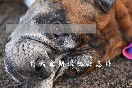 首次逾期报税会怎样 首次逾期报税会怎样