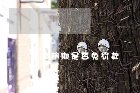 首次逾期是否免罚款 首次逾期是否免罚款
