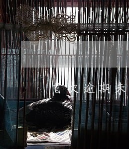 首次逾期未申报可以免于处罚吗 首次逾期未申报可以免于处罚吗
