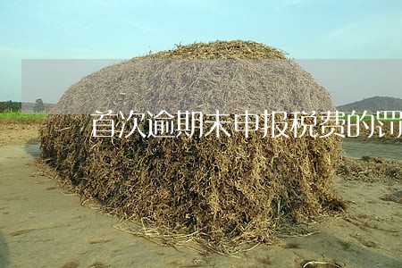 首次逾期未申报税费的罚款 首次逾期未申报税费的罚款