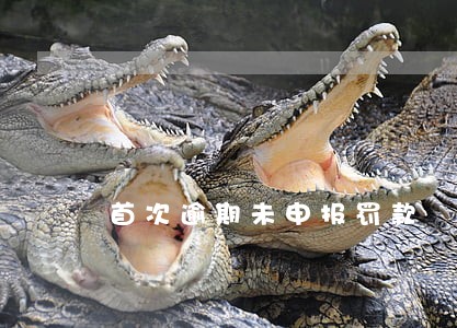 首次逾期未申报罚款 首次逾期未申报罚款