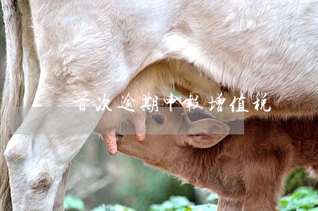 首次逾期申报增值税 首次逾期申报增值税