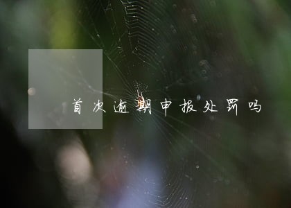 首次逾期申报处罚吗 首次逾期申报处罚吗
