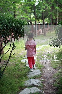 首次逾期申报网上补报视频