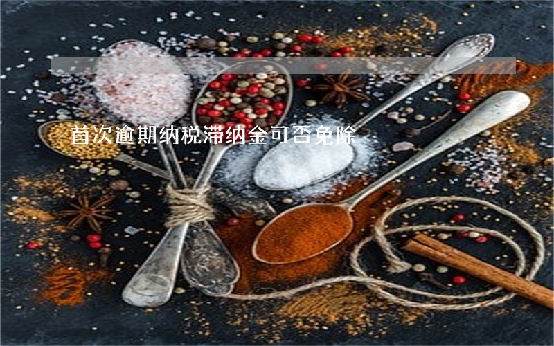 首次逾期纳税滞纳金可否免除 首次逾期纳税滞纳金可否免除